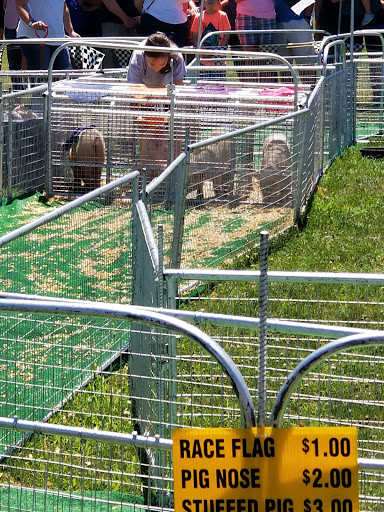 Orchard «Barton Orchards - Noxon Road Store Open Year Round - The Farm is CLOSED for the Season.», reviews and photos, 63 Apple Tree Ln, Poughquag, NY 12570, USA