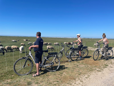 Les locations du canal : vélos et bateaux à Saint-Valery-sur-Somme