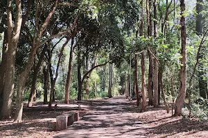 Horto Florestal (Input) image