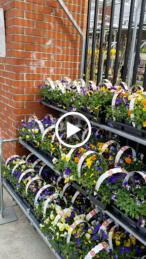 Discount Store «Walmart», reviews and photos, 255 W Main St, Avon, CT 06001, USA