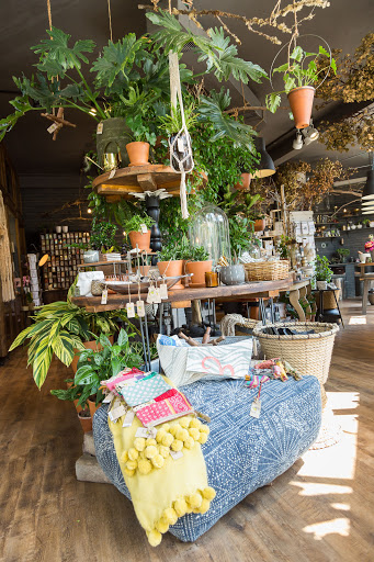 Dried flower shop Akron