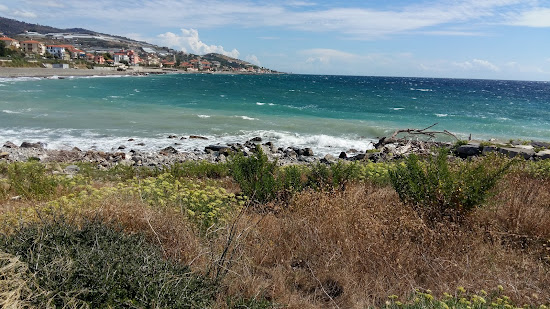 Windy Up Beach