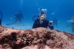 Acqua Life Dive Center image