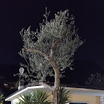 Photo n°23 de l'avis de Stefanie.t fait le 25/04/2022 à 18:10 sur le  Villaggio Albergo - Hotel Piccolo Paradiso à Toscolano Maderno