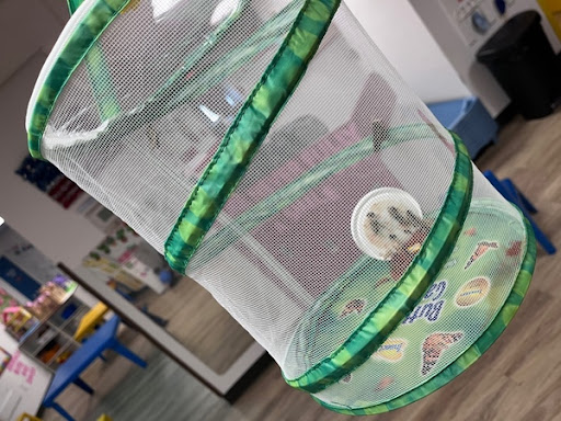 Preschool «Children Central Child Care / Learning Center», reviews and photos, 882 Town Center Dr, Langhorne, PA 19047, USA