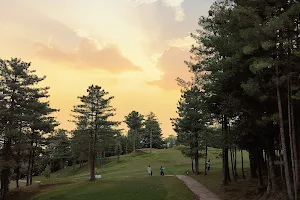 Chinar Golf Club image