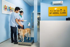 My Animal Clinic & Surgery image