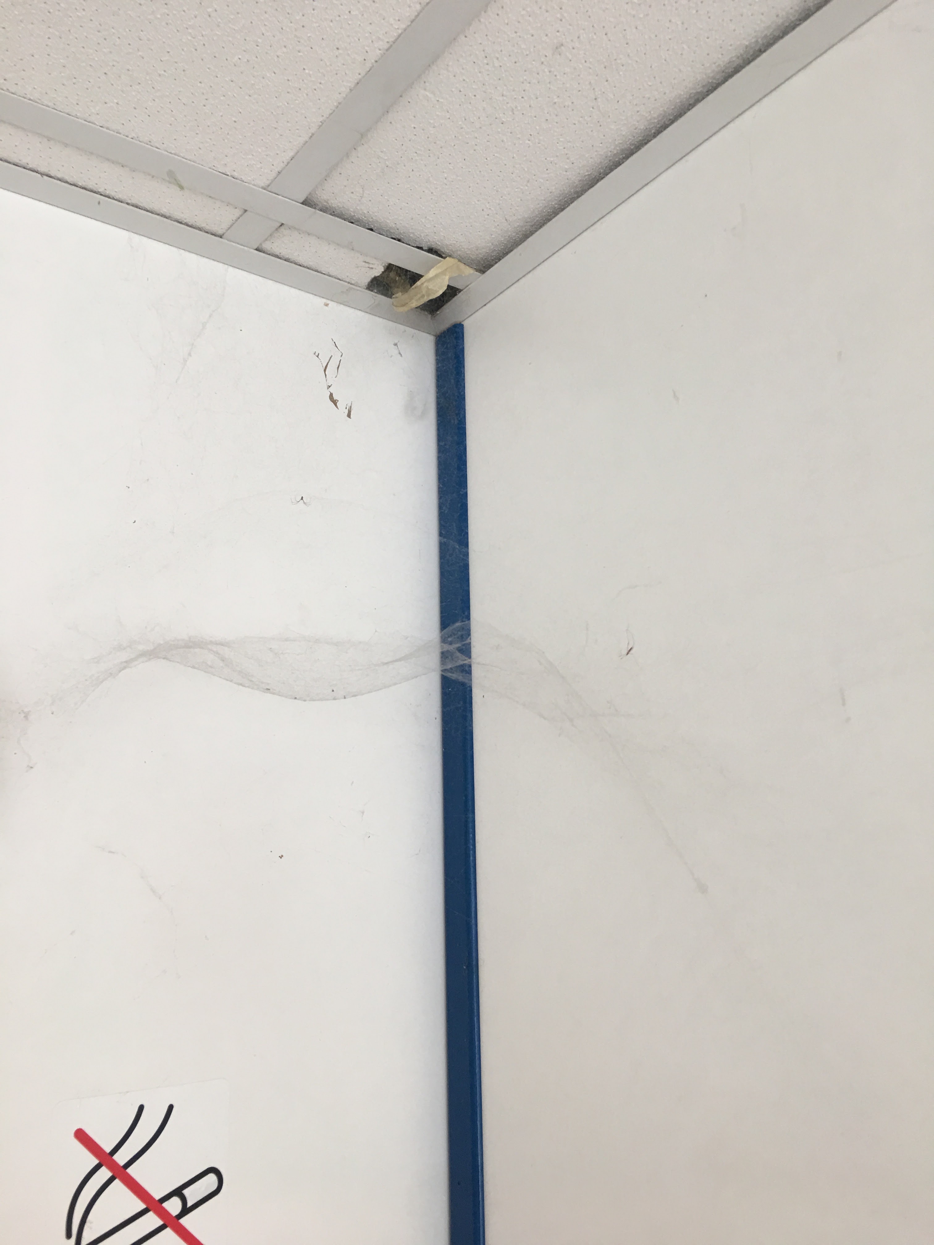Photo n° 4 de l'avis de Yurgen. fait le 21/04/2019 à 08:57