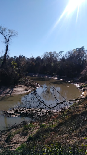 Tourist Attraction «Waugh Drive Bat Colony», reviews and photos, Waugh Dr, Houston, TX 77002, USA