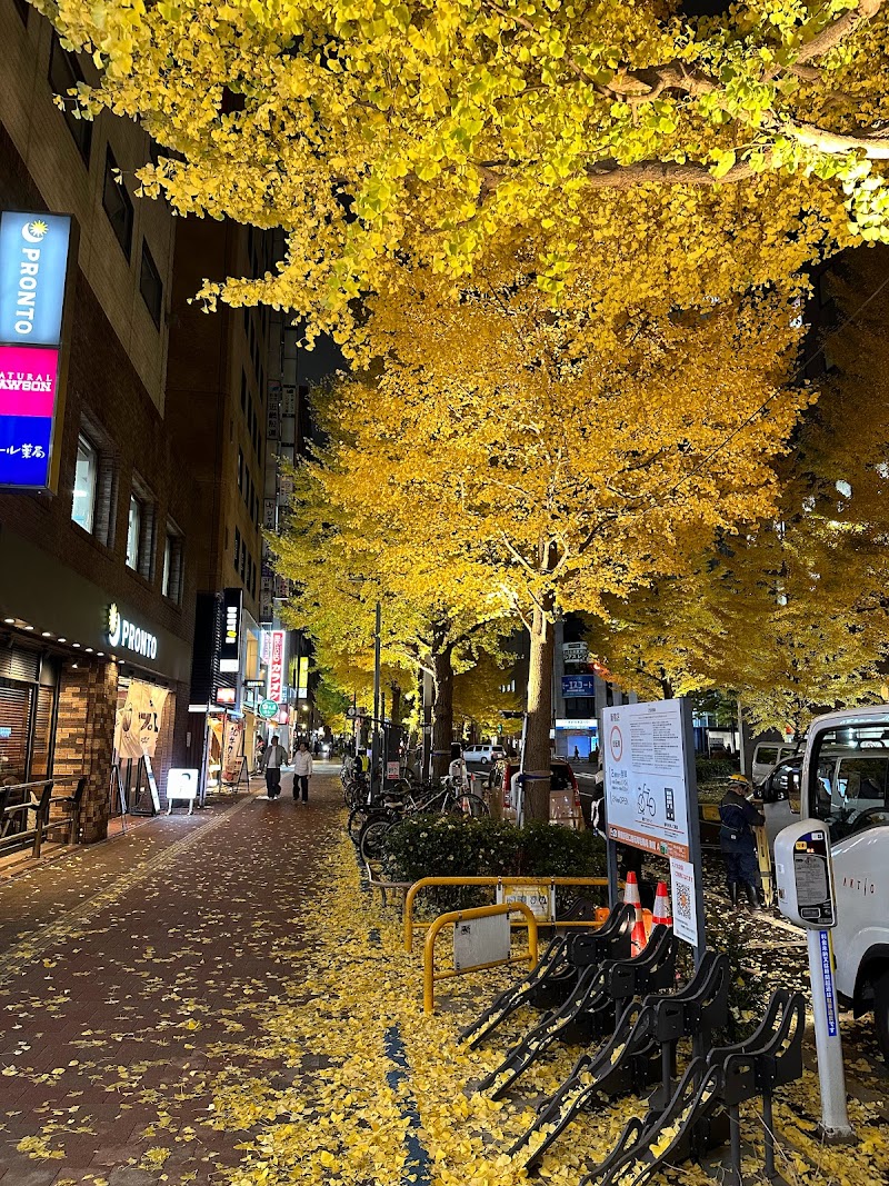 道路のみどり【緑道】