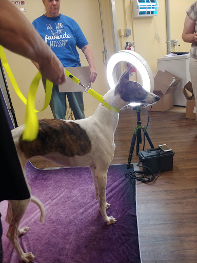 Pet Supply Store «PetPeople», reviews and photos, 3330 Washtenaw Ave, Ann Arbor, MI 48104, USA