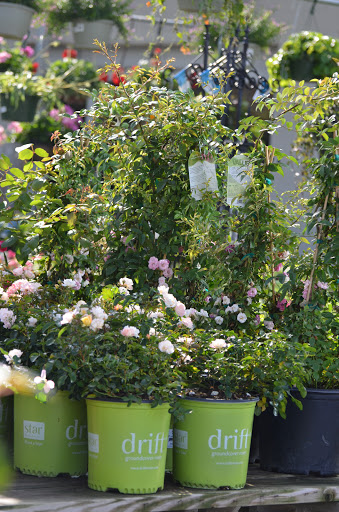 Hardware Store «Sutherlands Lumber #1220», reviews and photos, 6709 Blue Ridge Blvd, Raytown, MO 64133, USA