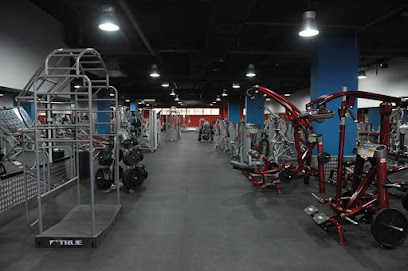Power Gym - 13 2A St - Al Karama - Dubai - United Arab Emirates