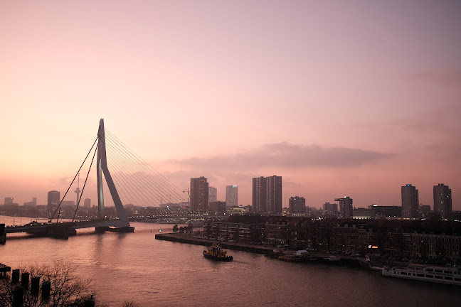 Beoordelingen van burobree in Rotterdam - Grafisch ontwerp