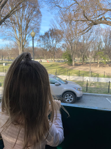 Sightseeing Tour Agency «Old Town Trolley and DC Duck Tours», reviews and photos, 50 Massachusetts Ave NE, Washington, DC 20002, USA