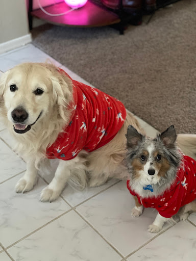 Pet Store «Animal Kingdom», reviews and photos, 5000 S Arizona Mills Cir, Tempe, AZ 85282, USA