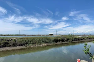 Zengwen River Mouth Wetlands image