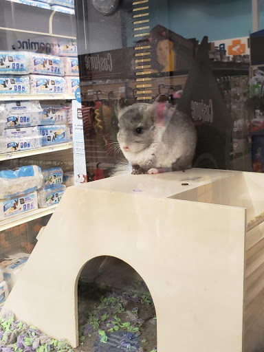 Pet Supply Store «PetSmart», reviews and photos, 2100 Chemical Rd, Plymouth Meeting, PA 19462, USA