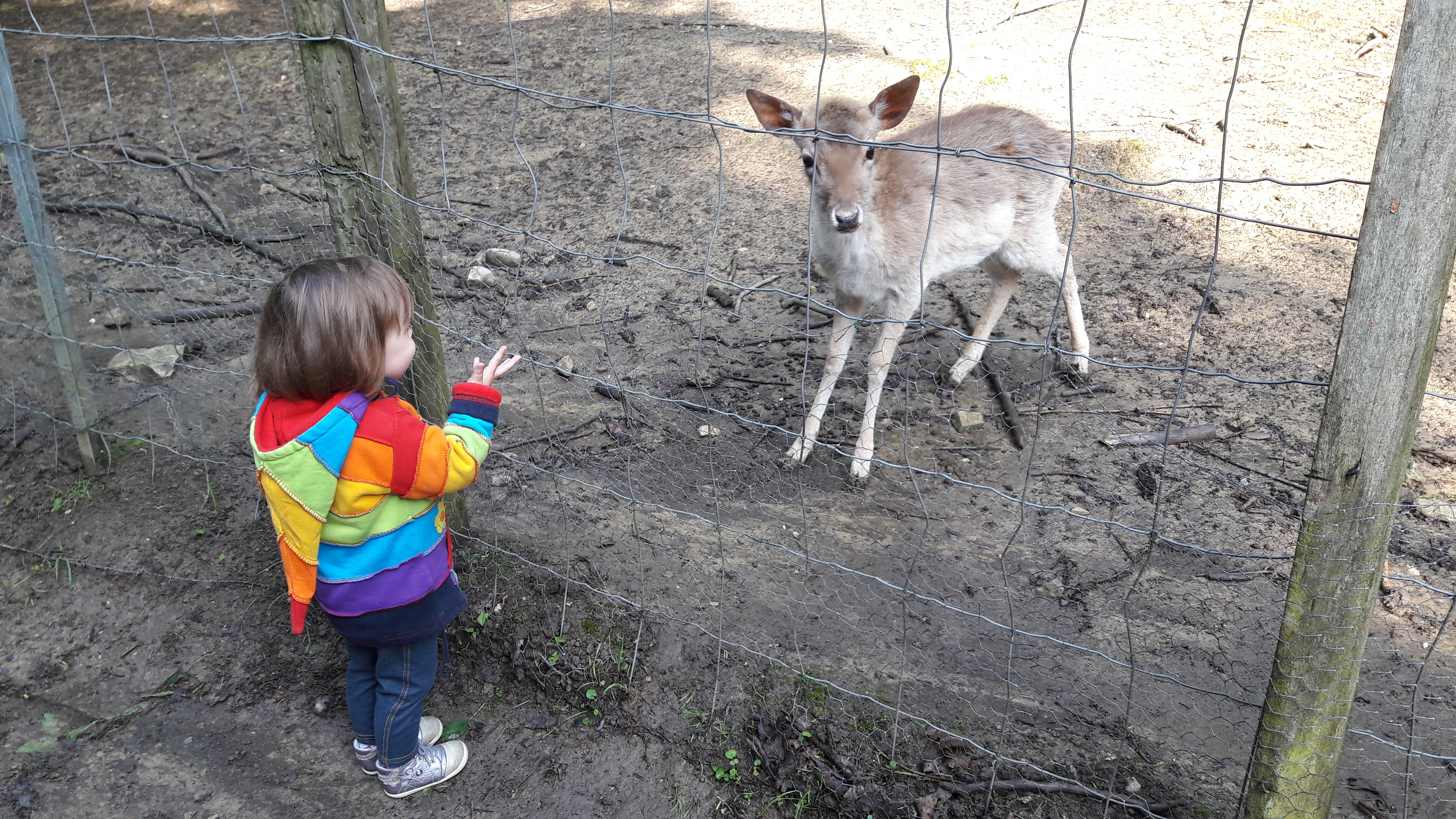 Photo n° 1 de l'avis de Annick.I fait le 18/05/2018 à 08:00