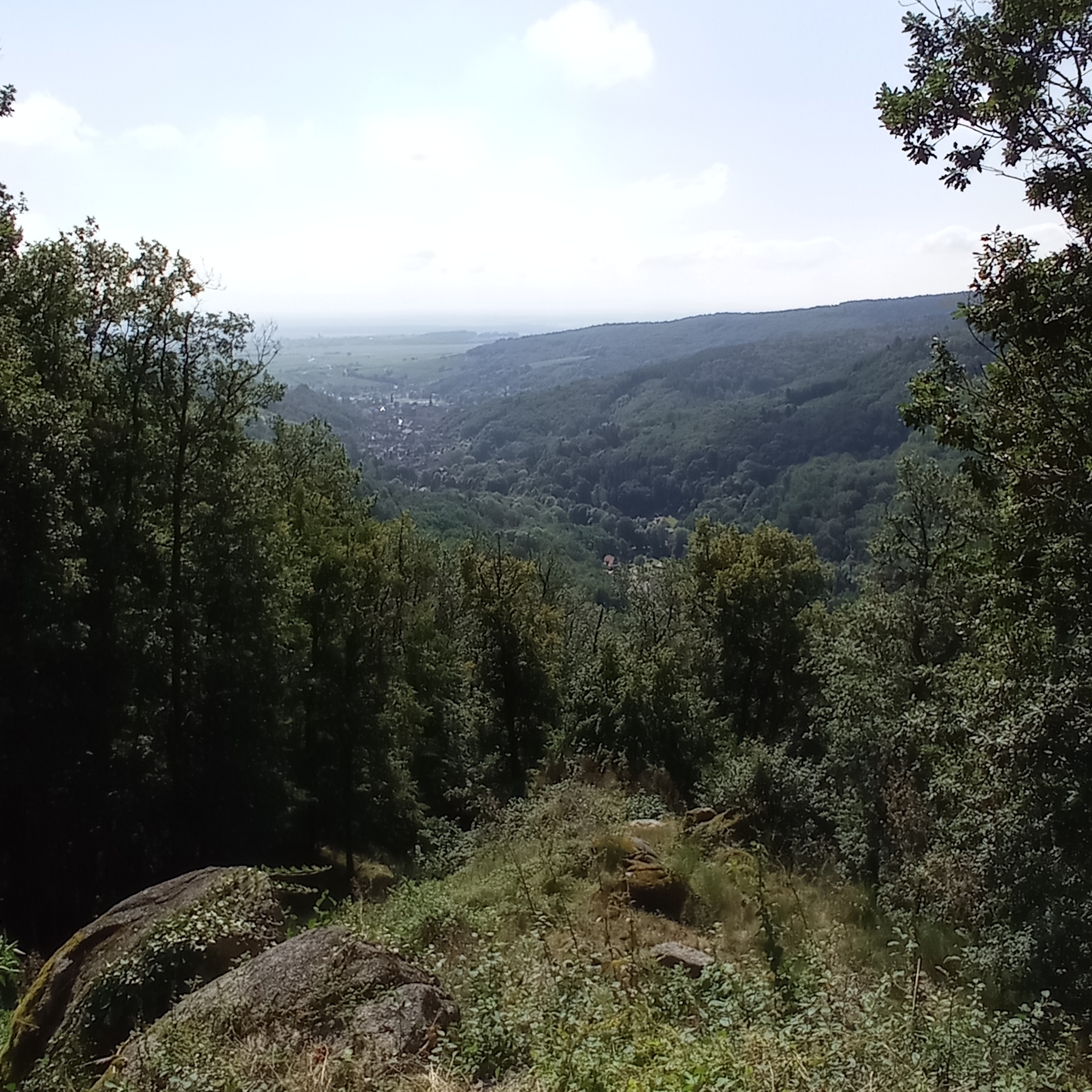 Photo n° 2 de l'avis de philnor754. fait le 26/08/2021 à 11:55