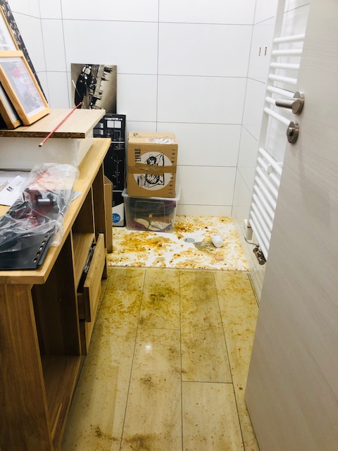 Photo n° 6 de l'avis de Chengjun.O fait le 16/11/2022 à 18:07
