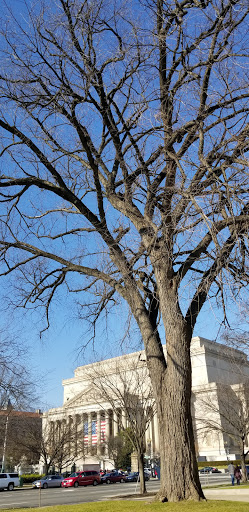 National Museum «National Archives Museum», reviews and photos, Constitution Ave NW, Washington, DC 20408, USA