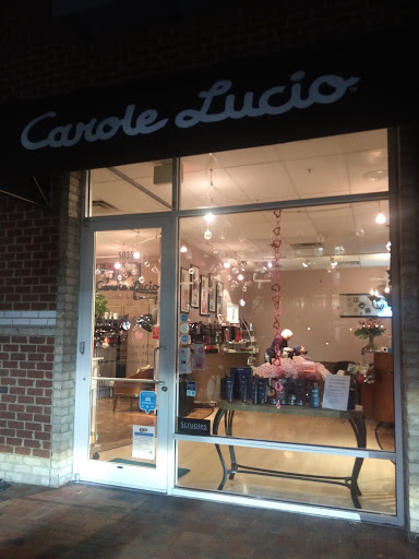 Hair Salon «Carole Lucio Hair Colour And Style Salon», reviews and photos, 5035 Addison Cir, Addison, TX 75001, USA
