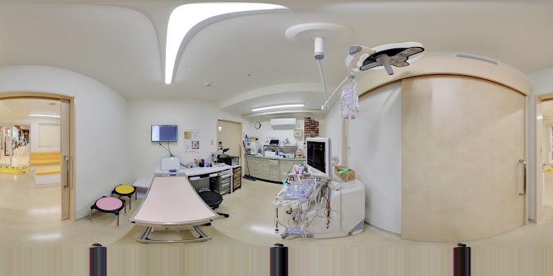 ペットショップ ワンラブ カインズ福岡新宮店 福岡県新宮町中央駅前 ペットショップ ペット グルコミ