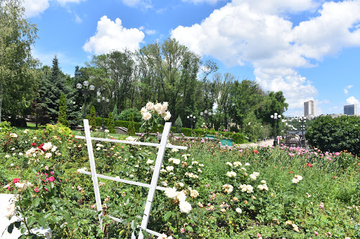 Vertical garden Donetsk