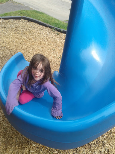 Park «Clasky Common Park», reviews and photos, Purchase St, New Bedford, MA 02740, USA