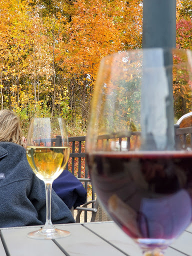 Winery «Dablon Vineyards & Winery», reviews and photos, 111 W Shawnee Rd, Baroda, MI 49101, USA
