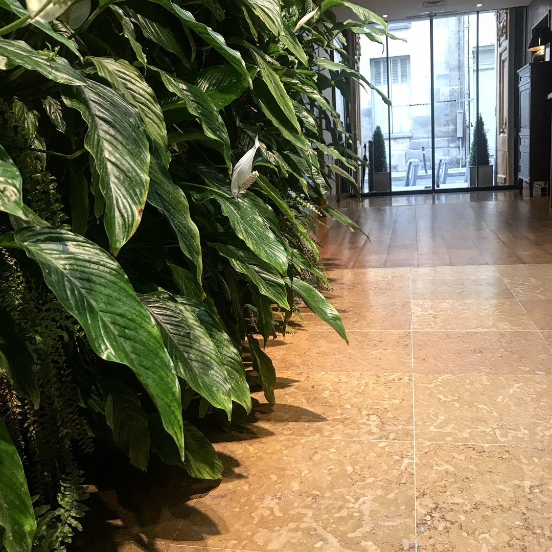 Photo n° 1 de l'avis de Andrea.o fait le 22/06/2018 à 14:32