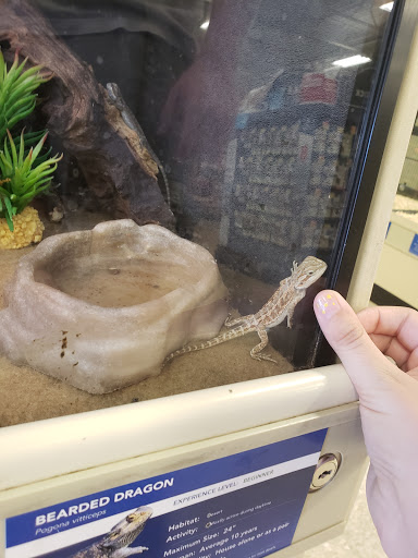 Pet Supply Store «PetSmart», reviews and photos, 144 Retail Commons Pkwy, Martinsburg, WV 25403, USA