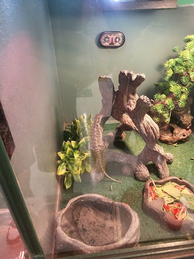 Pet Supply Store «Pet Supplies Plus», reviews and photos, 2424 W State St, Alliance, OH 44601, USA