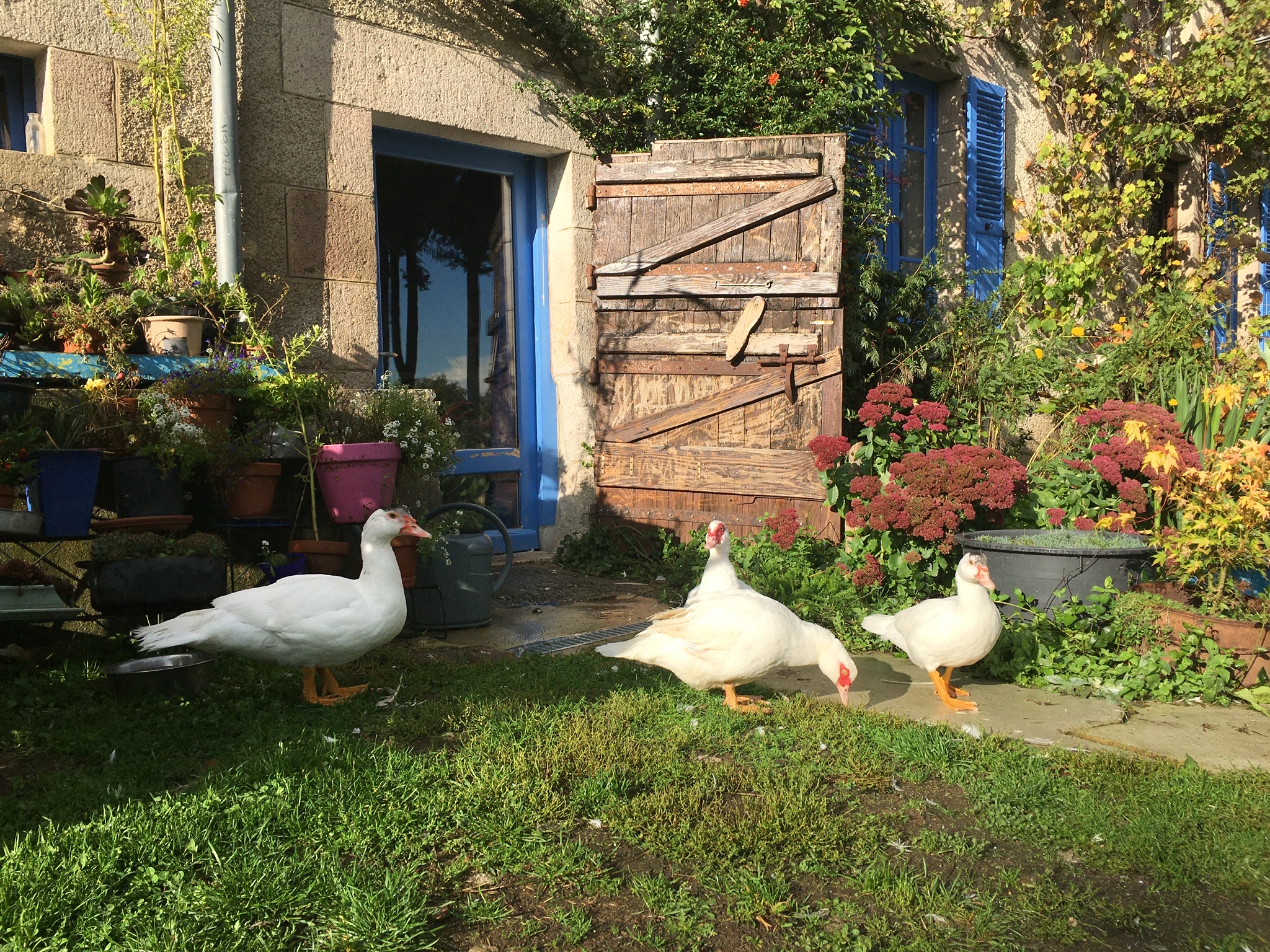 Photo n° 1 de l'avis de Danny.o fait le 15/10/2020 à 18:58