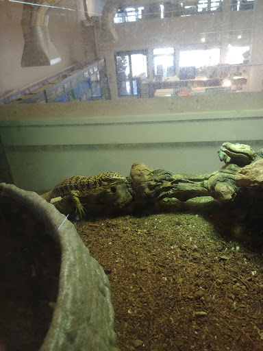 Pet Store «Critter Cabana», reviews and photos, 516 E 1st St, Newberg, OR 97132, USA