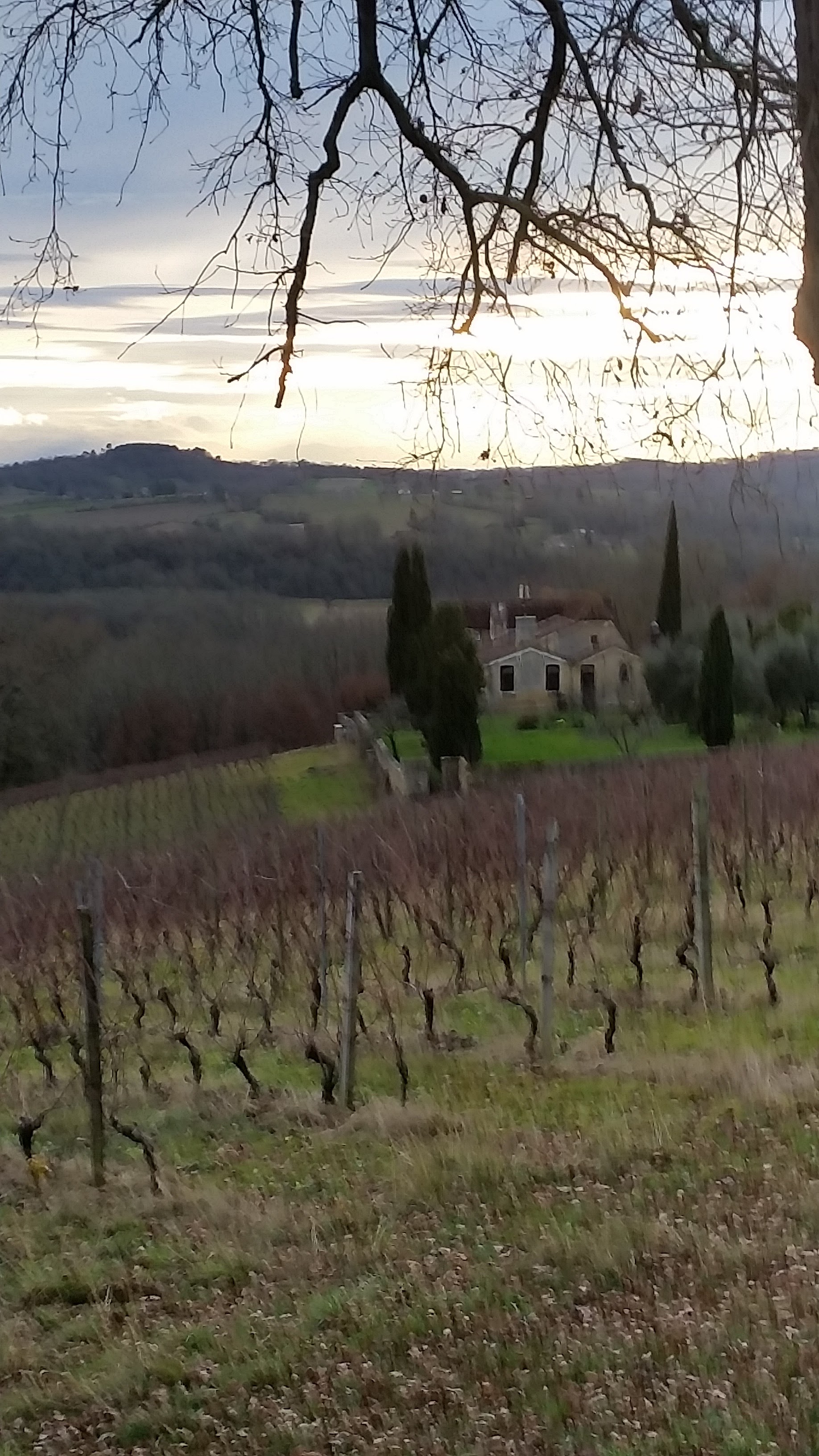 Photo n° 1 de l'avis de Isabelle.s fait le 26/12/2017 à 16:17