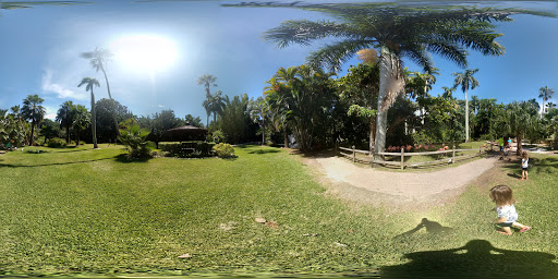 Zoo «Sarasota Jungle Gardens», reviews and photos, 3701 Bay Shore Rd, Sarasota, FL 34234, USA