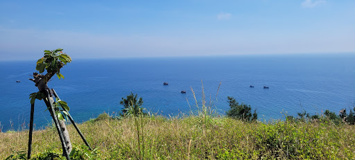 Top 20 cửa hàng akemi Huyện Lý Sơn Quảng Ngãi 2022