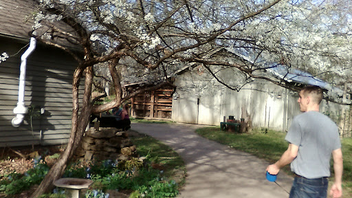 Park «Percy Warner Park», reviews and photos, 7311 Tennessee 100, Nashville, TN 37221, USA