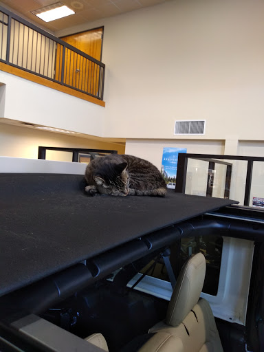 Car Dealer «Troncalli Chrysler-Jeep-Dodge-Ram», reviews and photos, 818 Atlanta Hwy, Cumming, GA 30040, USA