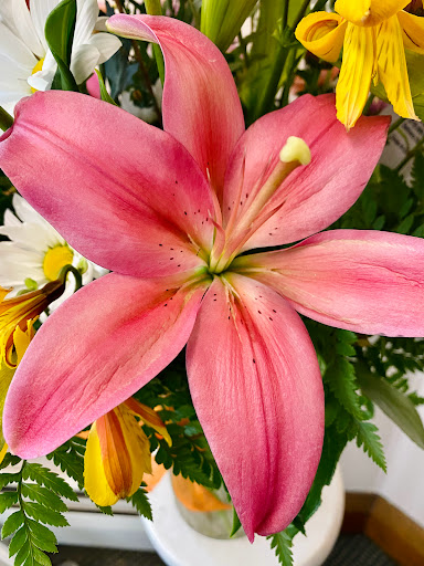 Florist «Perkasie Florist», reviews and photos, 101 N 5th St, Perkasie, PA 18944, USA