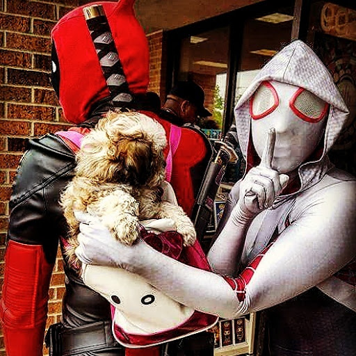 Comic Book Store «Amazing Fantasy Books & Comics», reviews and photos, 20505 South La Grange Road, Frankfort, IL 60423, USA