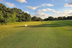 Beeville Country Club image
