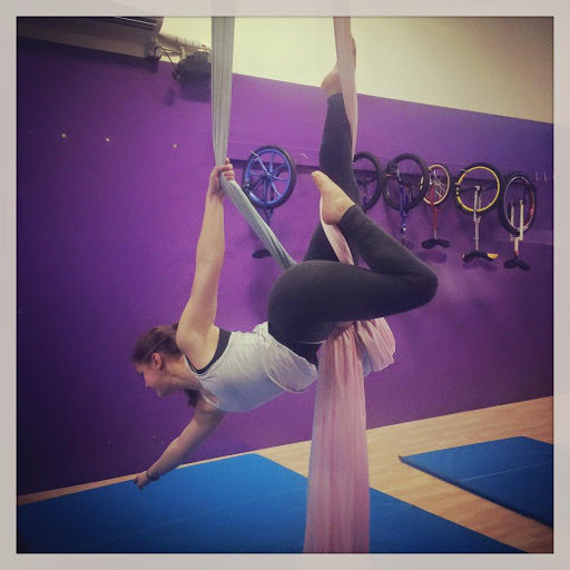 Circus «Circus Place», reviews and photos, 6 Jill Ct #10, Hillsborough Township, NJ 08844, USA