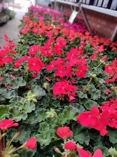 Hardware Store «Tele-Tron Ace Hardware», reviews and photos, 6604 Cermak Rd, Berwyn, IL 60402, USA