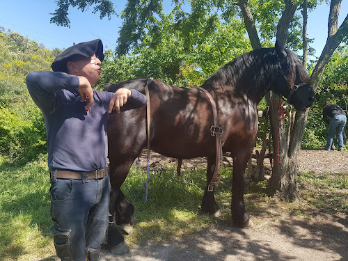 attractions La Ferme du Bonheur Nanterre