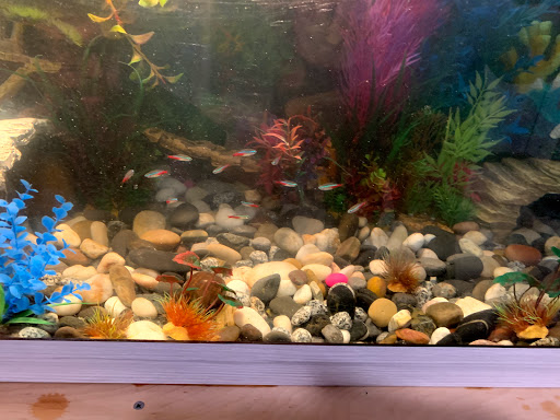 Pet Supply Store «PetSmart», reviews and photos, 170 Marketplace Blvd, Hamilton Township, NJ 08691, USA