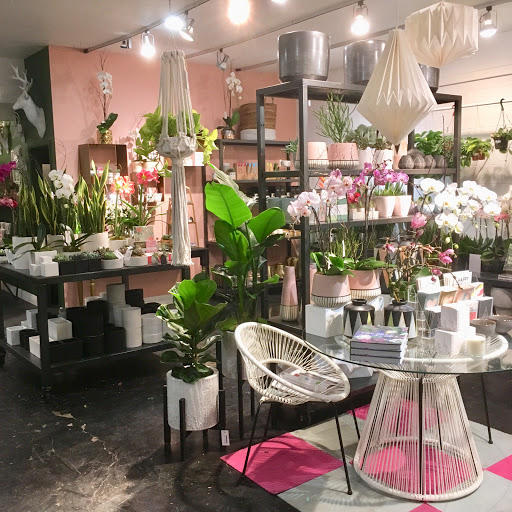 Florist «Green Fresh Florals», reviews and photos, 3785 Fourth Ave, San Diego, CA 92103, USA