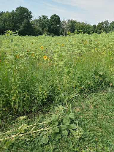 Winery «Echo Hill Orchards & Winery», reviews and photos, 101 Wilbraham Rd, Monson, MA 01057, USA